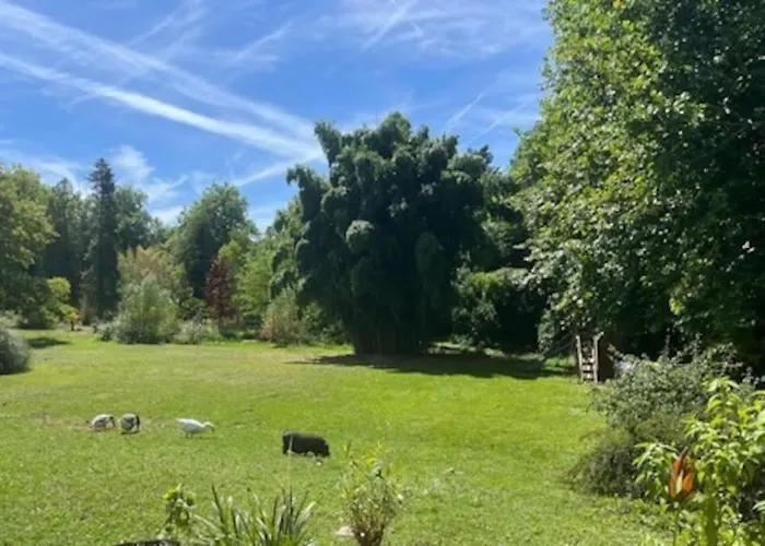 La Maisonnee Appartement *