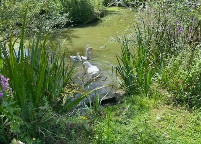 La Maisonnee * Marolles (Oise)